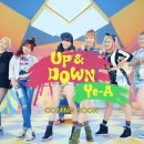 (주) 도혜 이미지