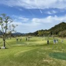 능주파크골프장 이미지
