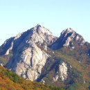 사록 이미지