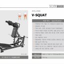 디랙스 브이스쿼트, 해머 등라인 최저가 판매합니다. 이미지