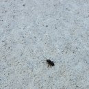 용인 미르힐 이미지