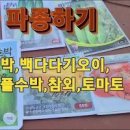애플수박 모종 심기! 오이 넝쿨식물지지대 만들기! 작두콩 키우기, 열매마(하늘마 재배) 심는시기와 파종간격 이미지