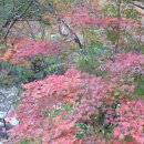 개울건너 이미지