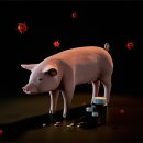 남창가축병원 이미지