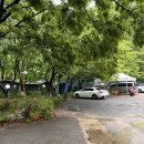 푸른숲식당 이미지