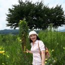 도마길 일원 이미지