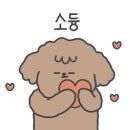 광주 반려동물용품 위글리펫 용봉점 네이버블로그