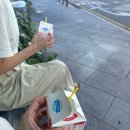 햇살나눔발전소 4호기 | 2024 물꼬방 여름 연수 - 독서로 빛나는 여름 당신 곁의 물꼬방