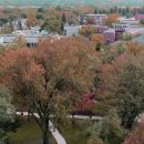 ELS어학원 이미지