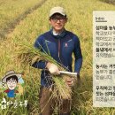 섬마을농수산물