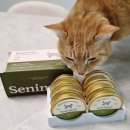 슬로우캣 | 시니어 고양이 습식캔 추천 시니멀 슬로우 파테 캣 치킨 급여 후기