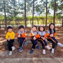 꼬마화가어린이집 이미지