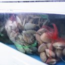 군산 은모래해물탕.아구찜 이미지