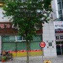 팀라이거복싱 이미지