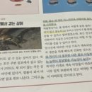 생각이 자라는 신문놀이 이미지