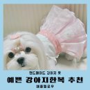 생활한복만들기(수) | 핸드메이드 강아지옷 애플멜로우 한복 드레스 원피스