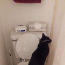 연세항외과의원 이미지