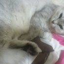 텐앤투