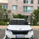 주식회사 와이즈테일 | 카니발 9인승 시그니처 장기렌트 출고 후기 미스티그레이 내부