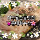 홍매회수산 이미지