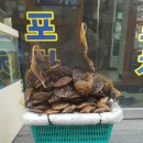 양구수산횟집 이미지
