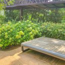 아라파크 이미지