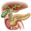 강남역스타약국 네이버블로그