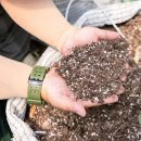 [新귀농귀촌인] 다양한 농사로 고수익 경영 모델 완성 중 | 디지털농업 이미지