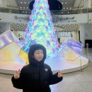 상하벌로 | 국립과천과학관 아이와 방문 후기 유아체험관부터 전시까지