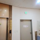 88디디