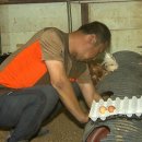 이용식농장 이미지