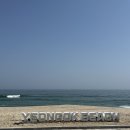 연곡 | 예약힘든 강릉캠핑장?연곡솔향기캠핑장 다녀온 후기