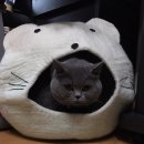 팡팡컴퍼니 - 수원시 팔달구 | 팡팡컴퍼니