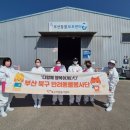 행복하개 반려동물 센터 이미지