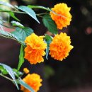 승기천 신연수역 이미지