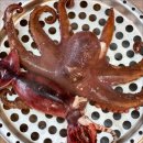 여기해물찜 이미지