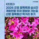 경기폴리텍고등학교 | 2026 군포 철쭉축제 실시간 개화현황 주차 정보와 가는길 산본 철쭉동산 먹거리 후기