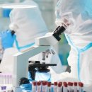 이에이치엘셀의원 이미지