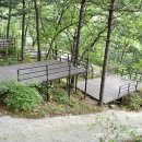 호명산캠프 이미지