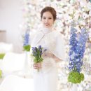 (주)파라다이스웨딩 이미지