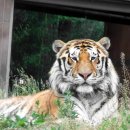 서울대공원 이미지