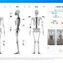 다인체형관리