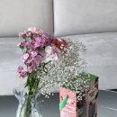 요이노이스튜디오