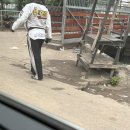 KOREA 국가대표 태권도장 이미지