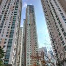 경기도 수원시 영통구 광교호수공원로 이미지