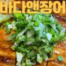 황금장어앤돈