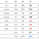 스마일 동물병원 이미지
