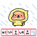 계산동물병원 이미지