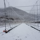 원지농원 이미지