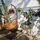 유봉농장 이미지